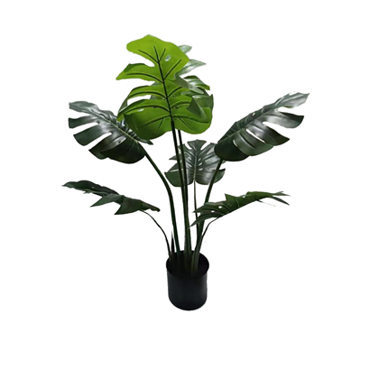 Monstera Tree