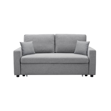 Sofa 2-Seater with Pull Out Bed Anthracite