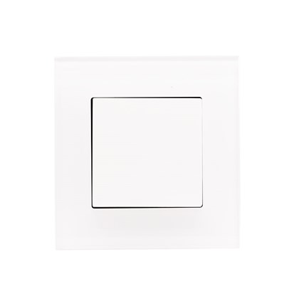 1 Gang Int Switch White Temp Frame
