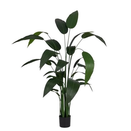 Plant Strelitzia Green Pvc-Fabric