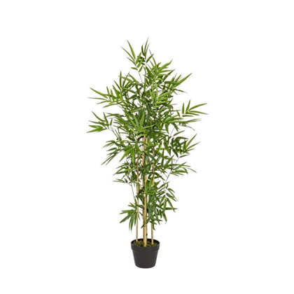 Bamboo Plant With Pot H130cm