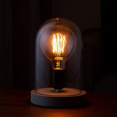 Glass Dome Wood E27 Industrial Table Lamp