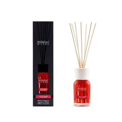 Diffuser With Reeds 100ml Apple & Cinnamon