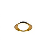 SIDE LED BLACK COPPER CELING LAMP G9