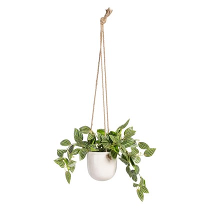 Hanging Pot Green White