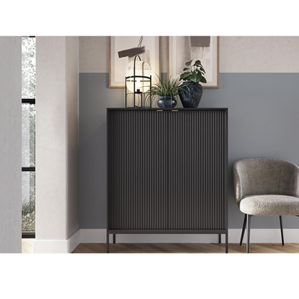 Sideboard with 2 Doors – Black