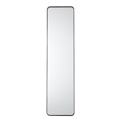 Door Mirror 30X120cm