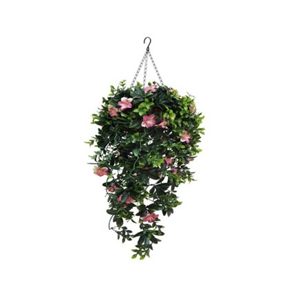 Hanging Basket - Azalea