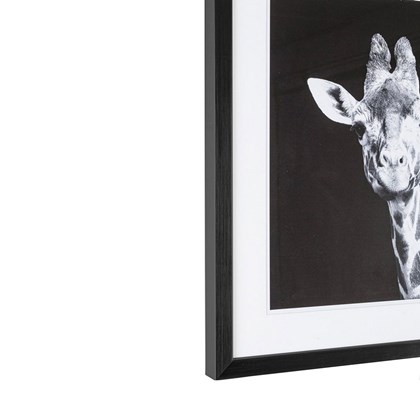 B&W Giraffe Painting 49x49