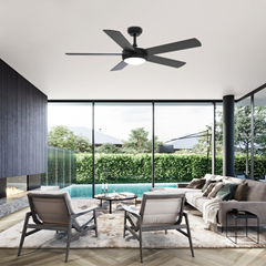 Black Ceiling Fan with Light