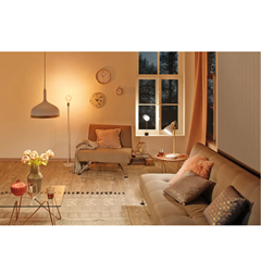 Neordic Desing Pendant luminaire - Matt white/Gold Dimmable Metal