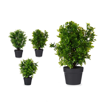 Black Plastic Pot Green Plants