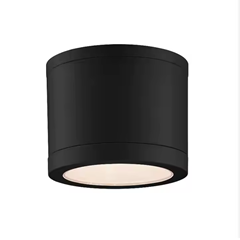 Plastic Ceiling Lights IP65