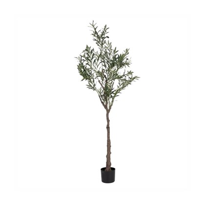 Tree Olive-Tree Green 180cm