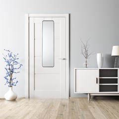 Door Mirror 30X120cm