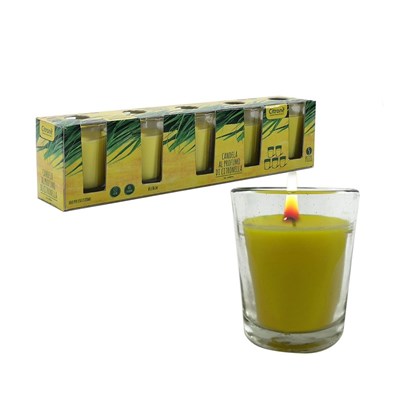 Candles Pack Of 5 in Glass - Lemongrass