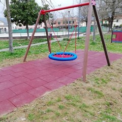 Birdsnest swing