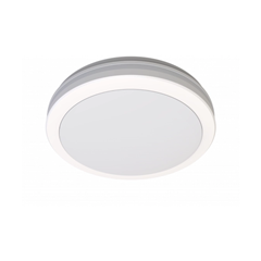 LED Outdoor Ceiling Light White 30W IP65