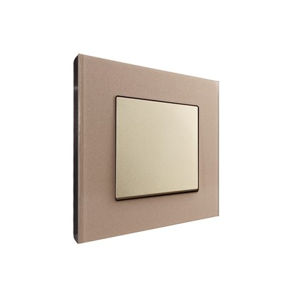 1 Gang 2 Way Switch Gold Temp Glass