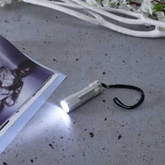 Mini 9 Led Aluminium Flashlight Silver