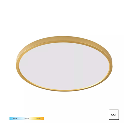 CCT LED Ceiling Light - Round Gold Frame
