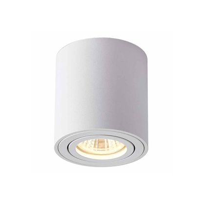 Dow Light for Surface White