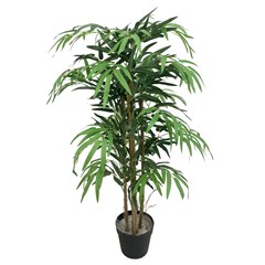 Bamboo Green in Black Pot - H90cm