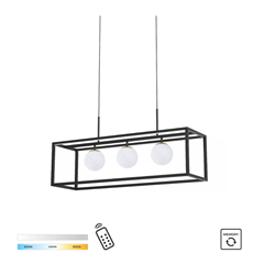 Pyro Hanging Lamp Black