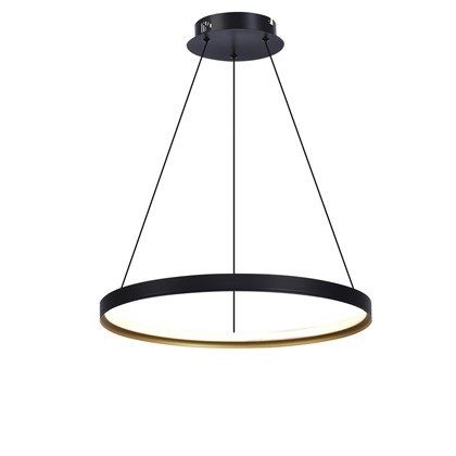 Pendant Lamp Iron 600 H1200MM 30W Black & Gold