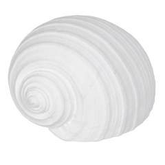Seashell Figure White Resin Deco 15x11x9 cm