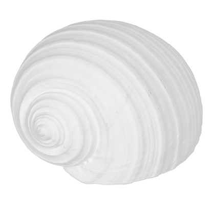 Seashell Figure White Resin Deco 15x11x9 cm