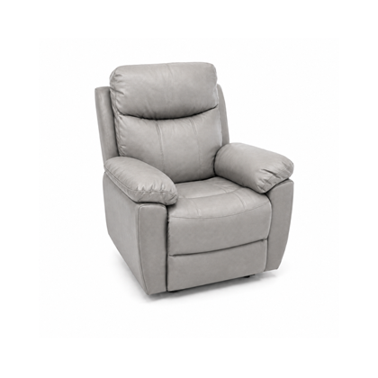 Dual Motor Electric Power Lift Recliner –Light Grey