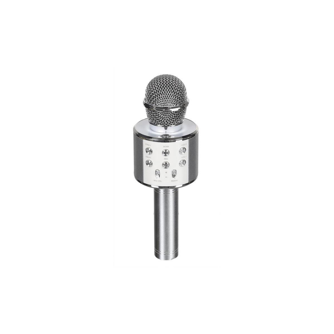 Karaoke Microphone Speaker – Silver