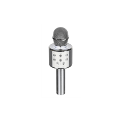 Karaoke Microphone Speaker – Silver