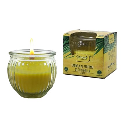 Citronella Candle 85g In Jar