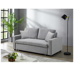 Sofa 2-Seater with Pull Out Bed Anthracite