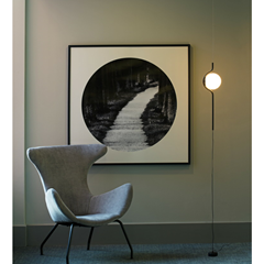 Black Pendant -  Floor Lamp