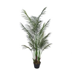 Green Palm Tree in Black Pot - H145cm