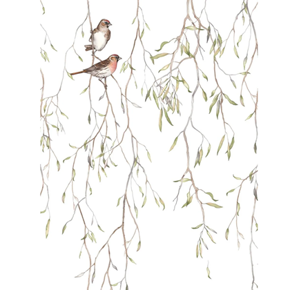 Mural Wallpaper Spring Birds