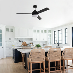 Matte Black Decorative Ceiling Fan