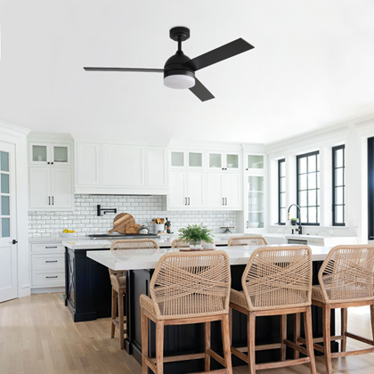 Matte Black Decorative Ceiling Fan