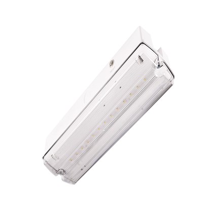 Orion LED II SA 3H MT Evacuation Lighting