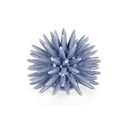 Abyss Light Blue Sea Urchin