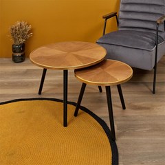 Felix Trundle Table Set of 2 – Brown & Black & Gold