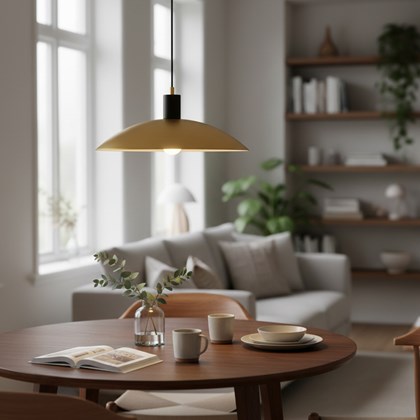 Pendant Lamp – Brass & Black