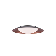 Ceiling Light – Black & Copper
