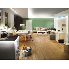 Neordic Desing Pendant luminaire - Matt white/Gold Dimmable Metal