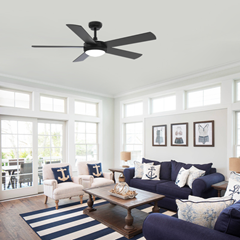 Black Ceiling Fan with Light