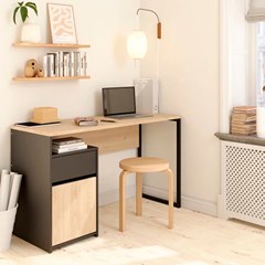 Function Plus Desk with 1 door 1 drawer