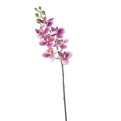 Sophie Artificial Orchid 63cm